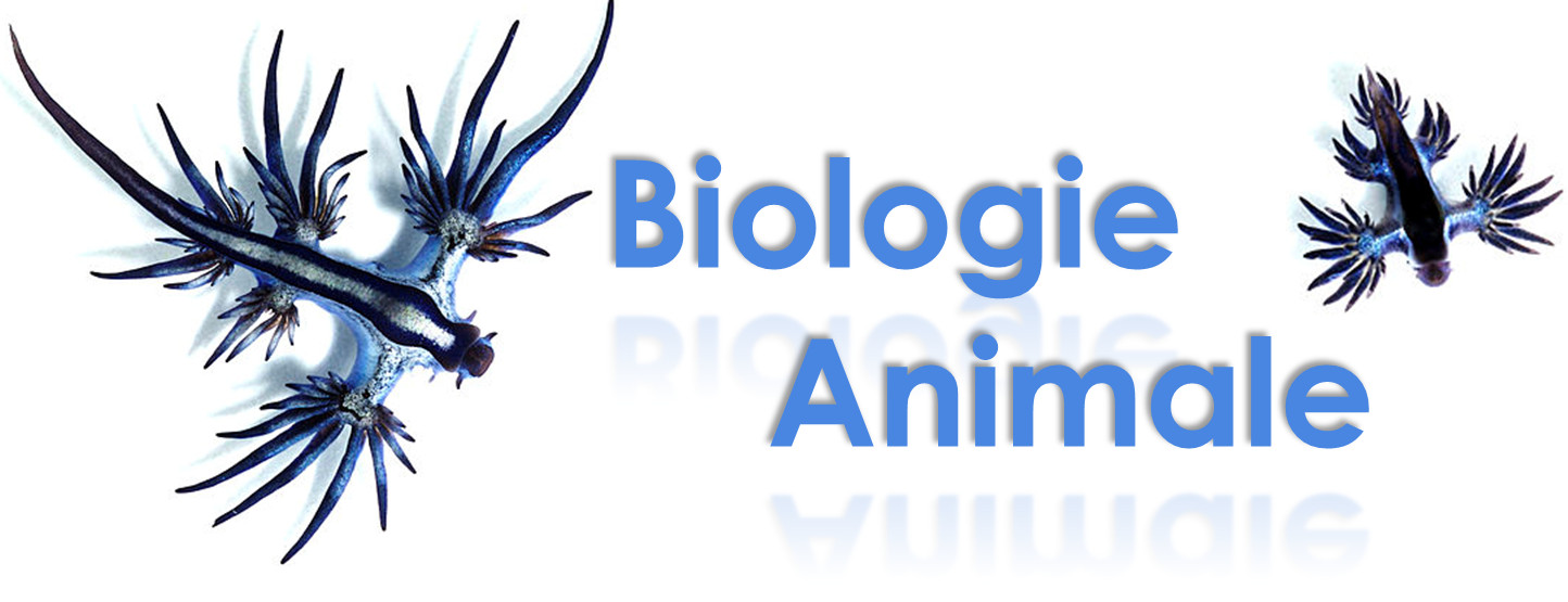 Biologie animale 2202x